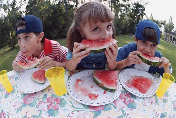 Drei Kinder essen Wassermelone — Stockfoto