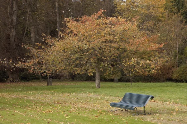 Sonbaharda parkta bir bank. — Stok fotoğraf