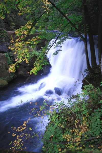 Cachoeira de fluxo — Fotografia de Stock