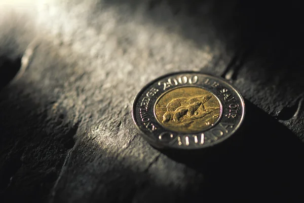 Mynt närbild — Stockfoto