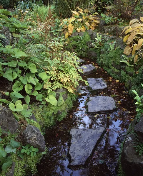 Stapstenen in de Japanse tuinen, county kildare, Ierland — Stockfoto