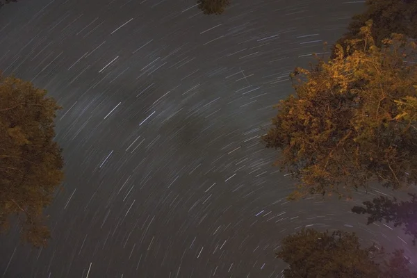 Star Trails à noite — Fotografia de Stock