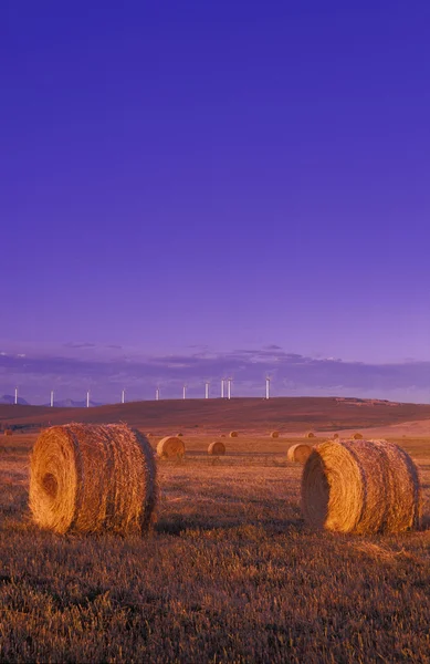 Hay Bales And Mountains — Stock Photo, Image