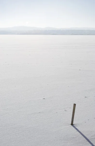 Field Of Snow — Stock Photo, Image