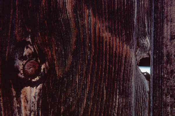 A csomót a fa gabona — Stock Fotó