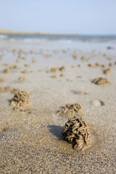 Sandmask kastar på stranden, northumberland, england — Stockfoto
