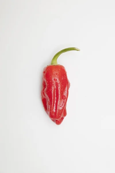 Pimenta vermelha de Jalapeno — Fotografia de Stock