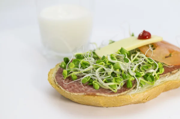 Alfalfa groddar smörgås — Stockfoto