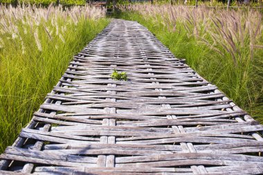 Çayırda bambuyla örülmüş yürüyüş yolu.
