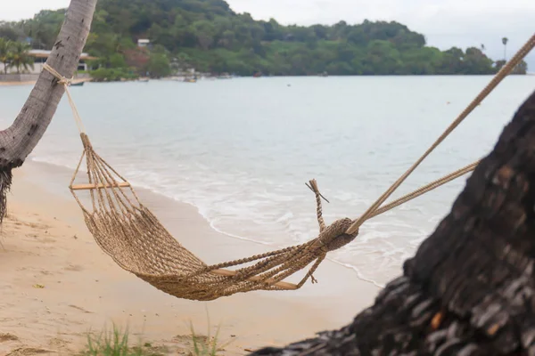 Översätt Hängande Med Kokosnötsträd Vid Havet — Stockfoto