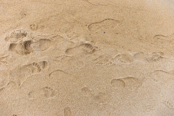 Pegadas Pessoas Andando Areia — Fotografia de Stock