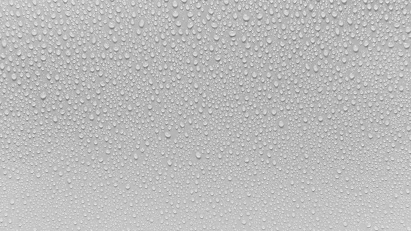 Water Droplets Gray Background Covered Water Droplets Bubbles Water — Stock Photo, Image