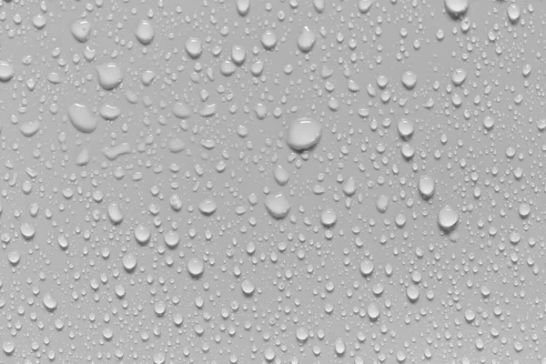 灰色背景上的水滴 被水滴覆盖 — 图库照片