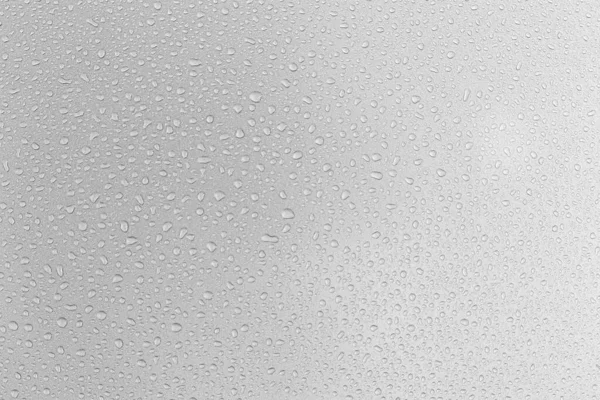 Water Droplets Gray Background Covered Water Droplets Bubbles Water — Stock Photo, Image