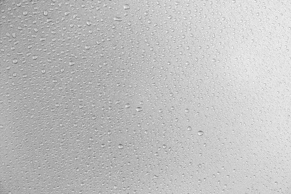 Water Droplets Gray Background Covered Water Droplets Bubbles Water — Stock Photo, Image