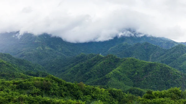 Misty Landscape Green Forests Fertile Mountains — Stock Photo, Image