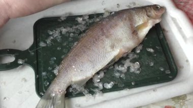 Aşçı balığı bıçakla temizler. sağlıklı gıda konsepti 