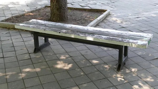 公園内の人々をリラックスさせるためのベンチ — ストック写真