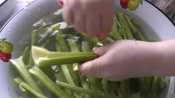 Chef Washes Celery Stalks Water — Stock Video