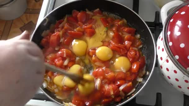 Woman Chef Fries Scrambled Eggs Vegetables — Stock Video