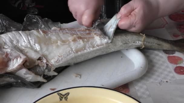 Köchin Putzt Rohen Fisch — Stockvideo