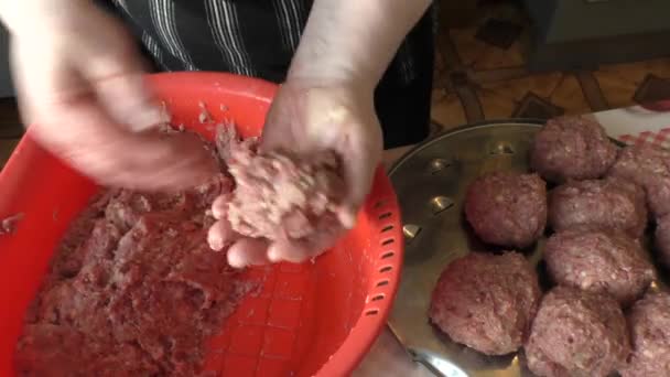 Šéfkuchař Připravuje Mleté Řízky — Stock video
