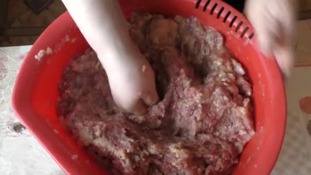 Chef Prepara Costolette Carne Macinata — Video Stock