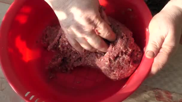 厨师把切碎的肉混合在一起 — 图库视频影像