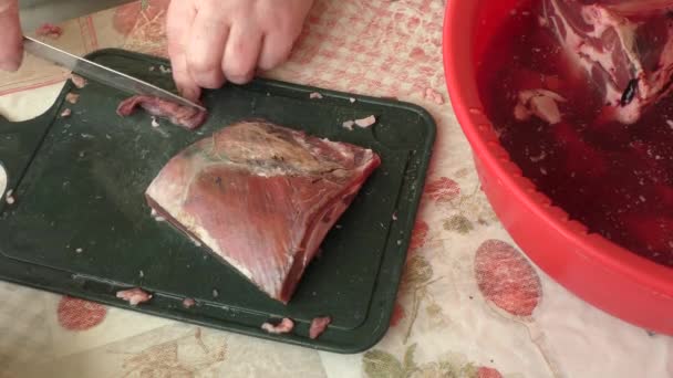厨师用刀切鹿肉 — 图库视频影像