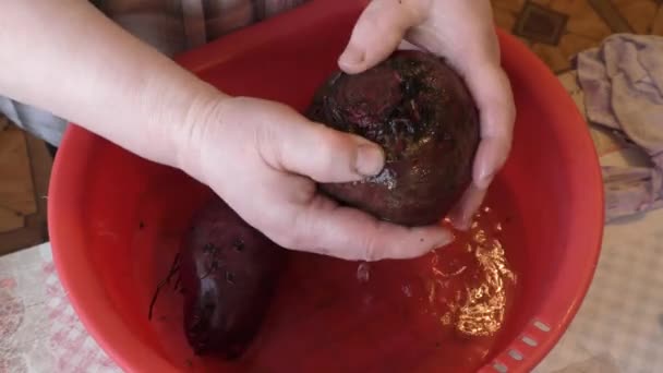 Chef Washes Beets Water — Stock Video