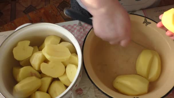 厨师用刀切生土豆 — 图库视频影像