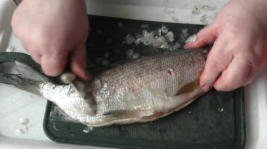 Şef çiğ balığı bıçakla keser.