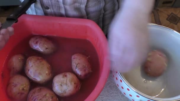 Chef Washes Potatoes — Stock Video