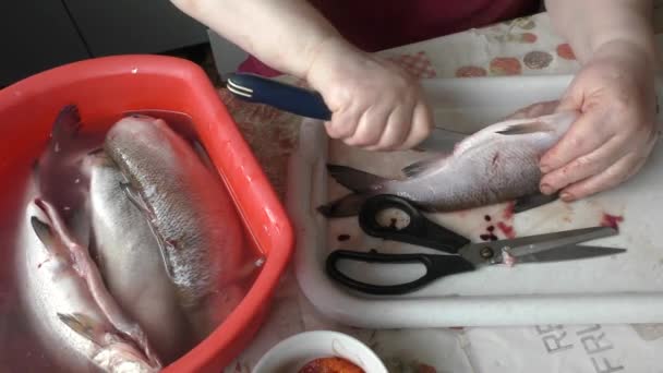 Kuchař Krájí Syrovou Rybu Nožem — Stock video