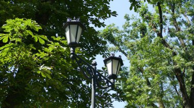 Parkta sokak lambası yanıyor. 