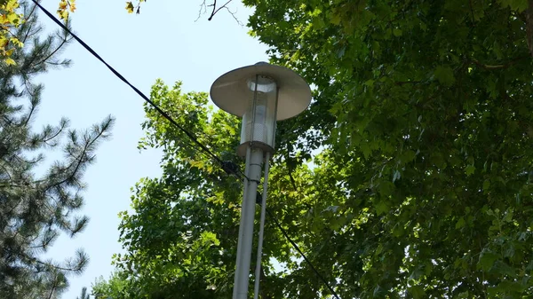 Straßenlaternenbeleuchtung Park — Stockfoto