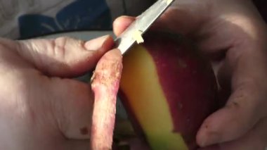 Şef çiğ patatesleri bıçakla soyar. 