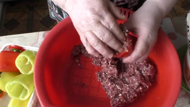 Chef Prepara Las Cucharadas Fritas Con Carne — Vídeos de Stock