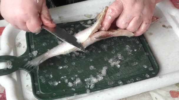 Kuchař Oloupe Syrovou Rybu Nožem — Stock video