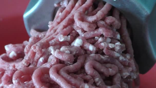 Meat Grinder Grinds Meat Minced Meat — Stock Video