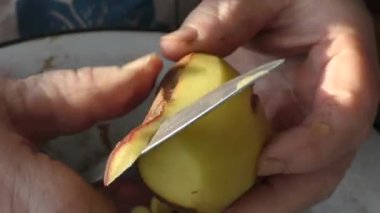 Aşçı patatesleri soyar. sağlıklı gıda konsepti