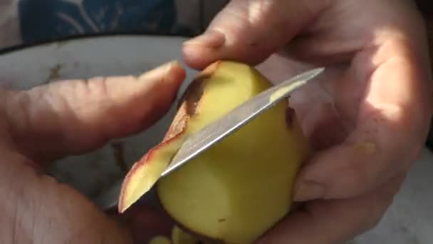 料理人がジャガイモを皮を剥ぐ 健康的な食のコンセプト — ストック動画