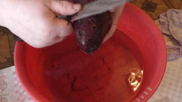 Chef Cuts Raw Beets Knife — Stock Video