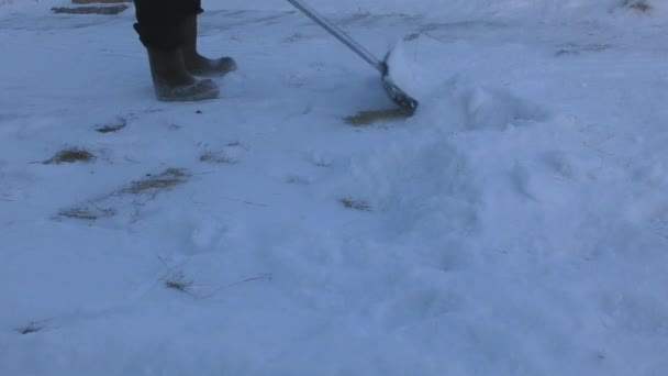 Man Reinigt Sneeuw Met Een Schop Straat — Stockvideo