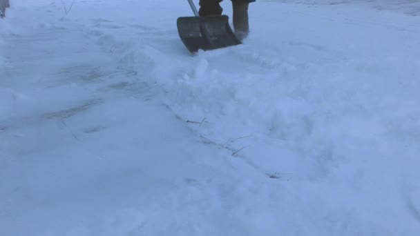 Man Reinigt Sneeuw Met Een Schop Straat — Stockvideo