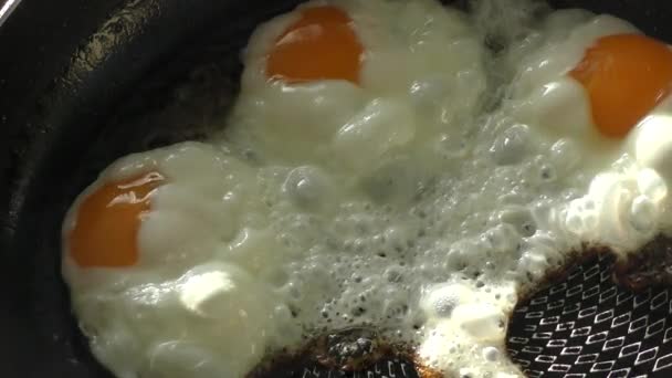 Fried Eggs Pan Close — стоковое видео