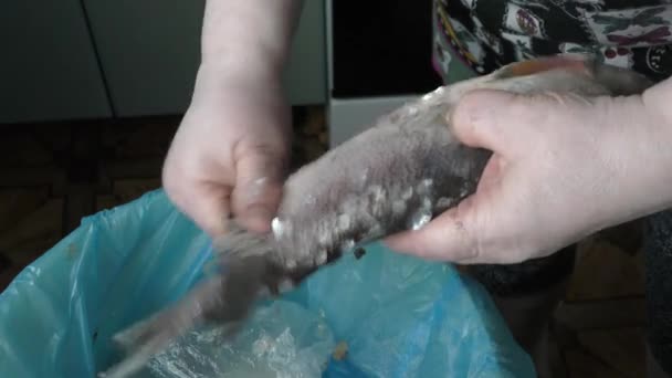 Kobieta Gotować Przygotowanie Surowej Ryby — Wideo stockowe