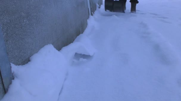 Adam Kışın Dışarıda Kar Kürüyor — Stok video