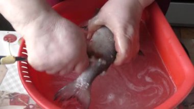 Pişirmek çiğ beyaz balığı temizler