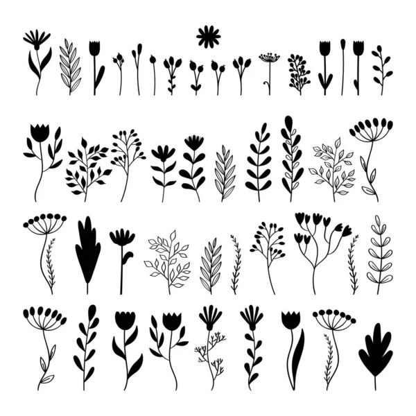 Big Set Hand Drawn Flowers Floral Collection Doodle Style Sketch — Stockvector